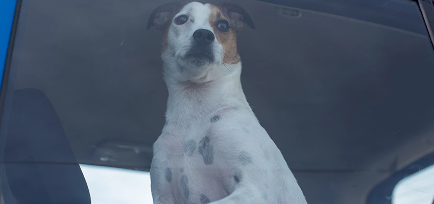 Car Lockout Solutions in Davis, California